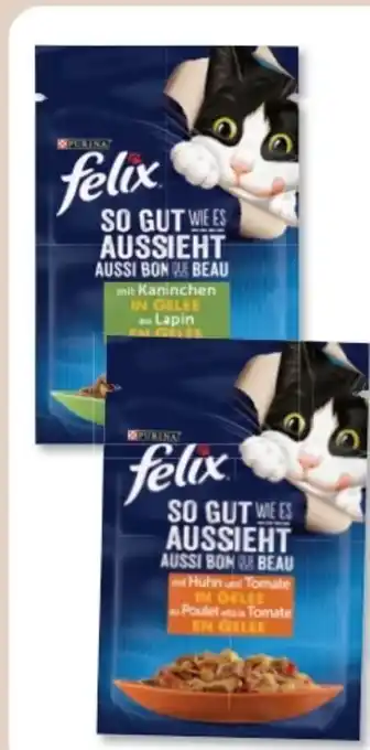 Budni Purina Felix Katzennahrung Angebot