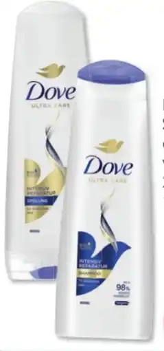 Budni Dove Shampoo Angebot