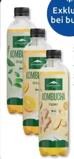Budni Schneekoppe Kombucha Ingwer Angebot
