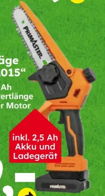 Globus Baumarkt Primaster Akku Einhandsäge PMEKS 2015 Angebot