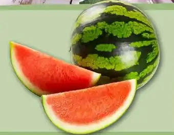 REWE Wassermelone Angebot