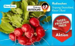 Aldi Süd Radieschen Angebot