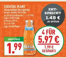 Marktkauf Cocktail plant Angebot