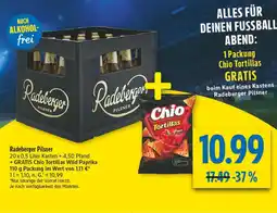 diska Radeberger pilsner Angebot