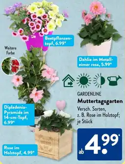 Aldi Süd GARDENLINE Muttertagsgarten Angebot