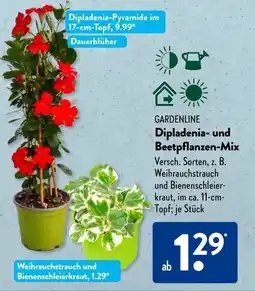 Aldi Süd GARDENLINE Dipladenia- und Beetpflanzen-Mix Angebot