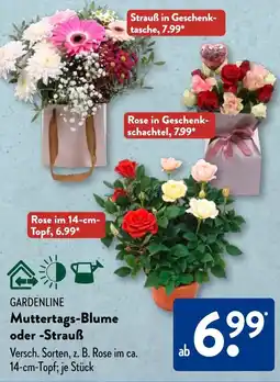 Aldi Süd GARDENLINE Muttertags-Blume oder -Strauẞ Angebot