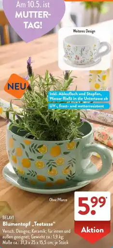 Aldi Süd BELAVI Blumentopf „Teetasse" Angebot