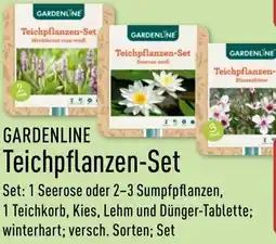 Aldi Nord GARDENLINE Teichpflanzen-Set Angebot