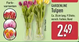Aldi Nord GARDENLINE Tulpen Angebot