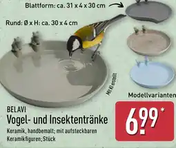 Aldi Nord BELAVI Vogel- und Insektentränke Angebot