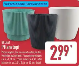 Aldi Nord BELAVI Pflanztopf Angebot
