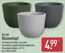 Aldi Nord BELAVI Blumentopf Angebot