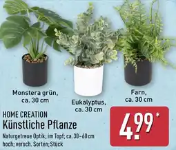 Aldi Nord HOME CREATION Künstliche Pflanze Angebot