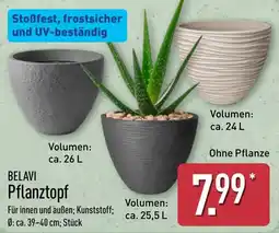 Aldi Nord BELAVI Pflanztopf Angebot