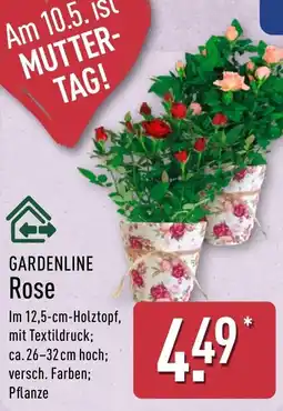 Aldi Nord GARDENLINE Rose Angebot