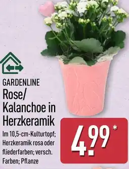 Aldi Nord GARDENLINE Rose/ Kalanchoe in Herzkeramik Angebot
