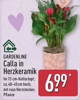 Aldi Nord GARDENLINE Calla in Herzkeramik Angebot