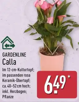 Aldi Nord GARDENLINE Calla Angebot