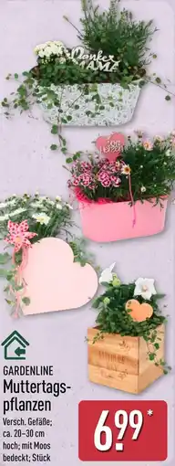Aldi Nord GARDENLINE Muttertags pflanzen Angebot