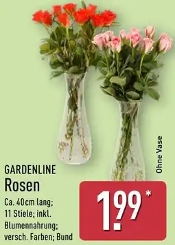 Aldi Nord GARDENLINE Rosen Angebot
