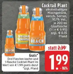 Edeka Cocktail Plant Angebot
