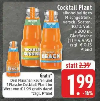 Cocktail Plant Angebot bei Edeka