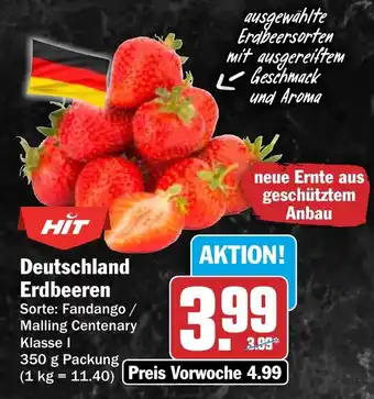 HIT Deutschland Erdbeeren Angebot