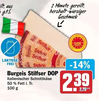 HIT Burgeis Stilfser DOP Angebot