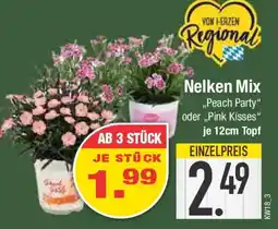 E-Center Nelken Mix „Peach Party" oder „,Pink Kisses" Angebot