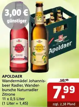 Getränke Quelle APOLDAER Wandermädel Johannisbeer Radler Angebot