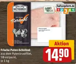 REWE Frische Puten-Schnitzel Angebot