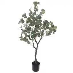 XXXLutz Ambia Kunstpflanze Eukalyptus Angebot