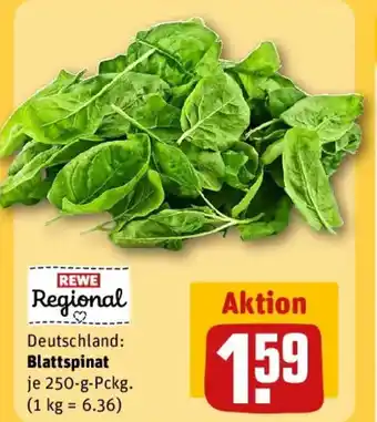 REWE Blattspinat Angebot