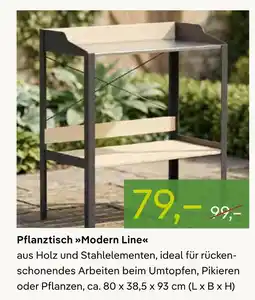 Pflanzen Kölle Pflanztisch modern line Angebot