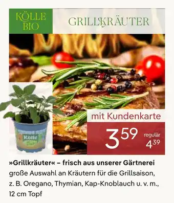 Pflanzen Kölle Kölle bio grillkräuter Angebot