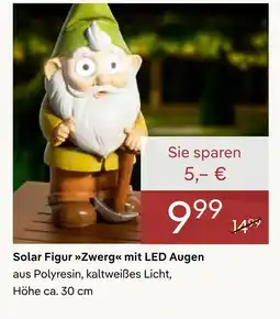 Pflanzen Kölle Solar figur zwerg mit led augen Angebot