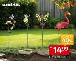 XXXLutz Ambia garden solarleuchte anemone Angebot
