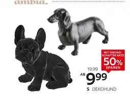 XXXLutz Ambia home deko-dackel Angebot