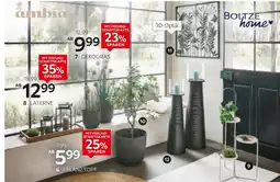 XXXLutz Ambia home pflanztopf Angebot