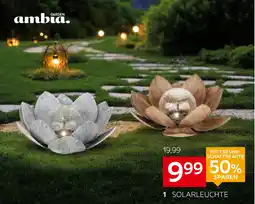 XXXLutz Ambia garden solarleuchte honululu Angebot
