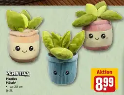 REWE Planties Plüsch Angebot
