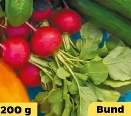 NETTO Radieschen Angebot