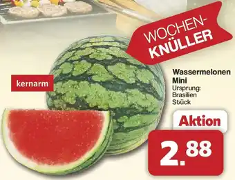 Famila Nord West Wassermelonen Mini Angebot