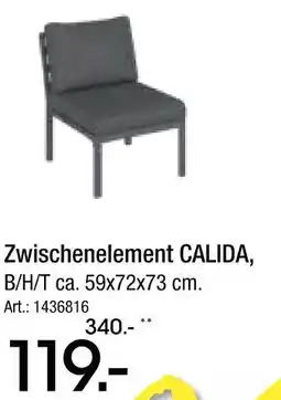 Zurbrüggen Ambia garden zwischenelement calida Angebot