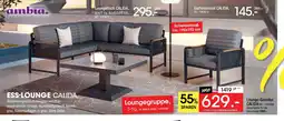 Zurbrüggen Ambia garden gartensessel calida Angebot