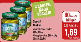 Feneberg Specht Gurken Angebot