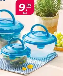 NETTO Salatboxen mit Tragegriff im Deckel Angebot