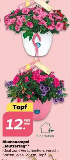 NETTO Blumenampel ,,Muttertag Angebot