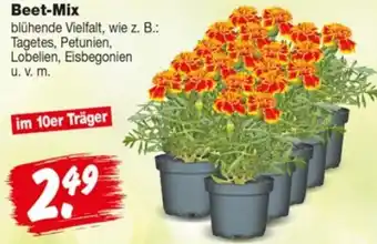Repo Markt Beet-Mix Angebot